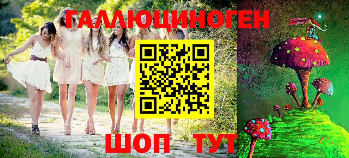 купить наркоту  Псилоцибиновые грибы MAGIC MUSHROOMS  Вход с VPN  Реж  Галлюциногенные грибы MAGIC MUSHROOMS 